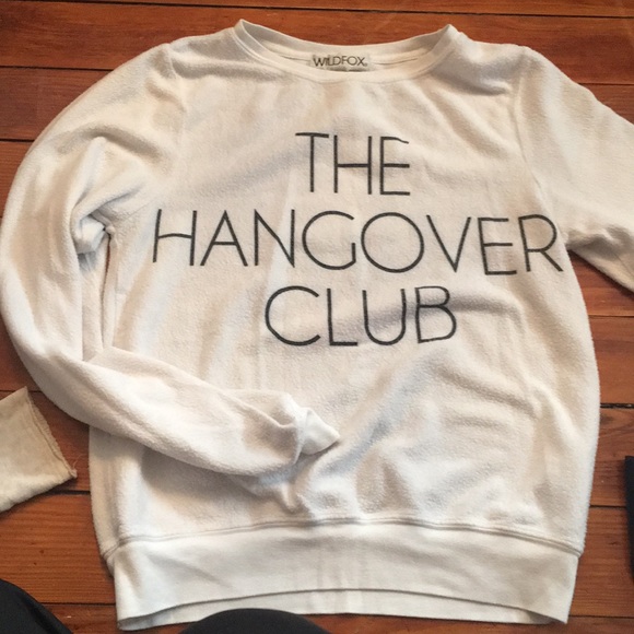 Wildfox Sweaters - Wild fox fuzzy sweater